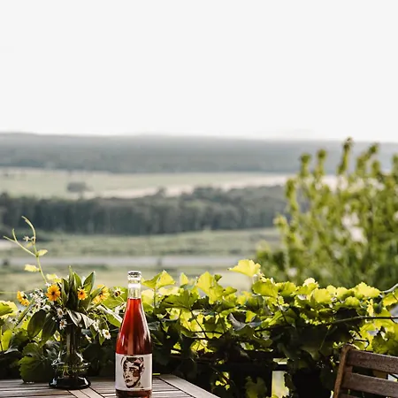 Mod Hébergement de vacances Lendava