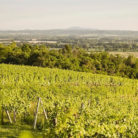 Mod Hébergement de vacances