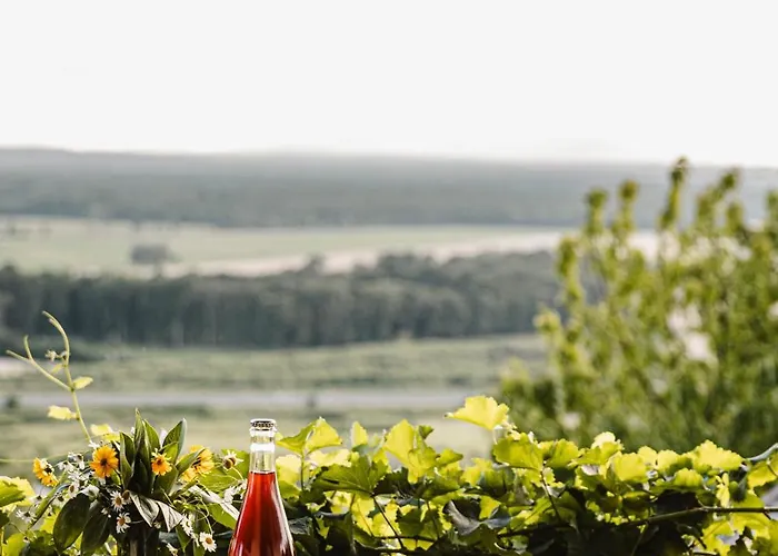 Mod Casa vacanze Lendava